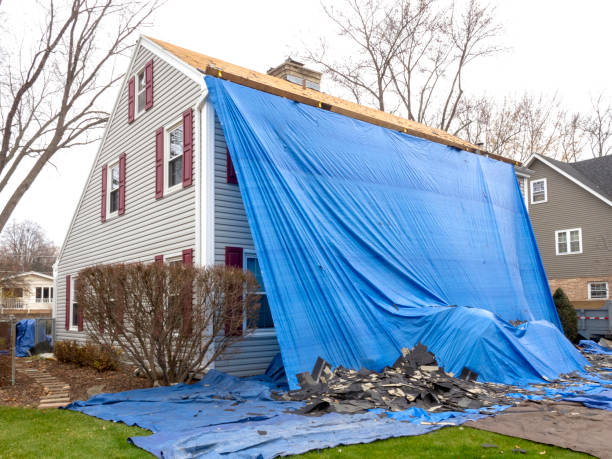 Best Shed Removal  in Ville Ptte, LA